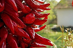 Un saquito de paprika