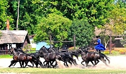 La Gran Llanura Hungara